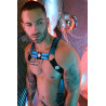 Breedwell Harnais Futura Bleu Neon